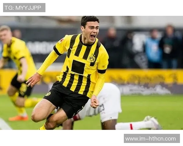 多特蒙德不再续约年薪1400万欧的30岁后卫聚勒